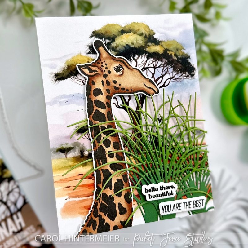 Hi Hey Hello Giraffe The Savannah Glossy card fronts CH 1c