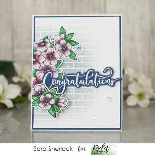 fancy congratulations sentiments 765261